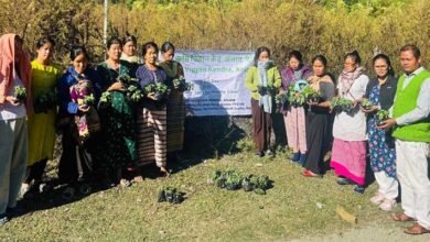 Arunachal: KVK Anjaw Marks World Soil Day With Training