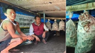 KVK Anjaw Trials Oyster Mushroom Using Local Biomass