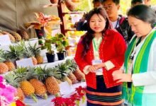Arunachal Pineapple Festival Concludes at Bagra
