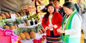 Arunachal Pineapple Festival Concludes at Bagra