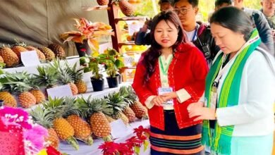 Arunachal Pineapple Festival Concludes at Bagra