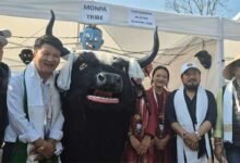 Arunachal Yuva Samanvay 2026 Begins with Youth from 24 Districts