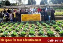 Arunachal: ICAR Organises Field Day on Vegetable Diversification