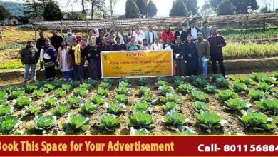 Arunachal: ICAR Organises Field Day on Vegetable Diversification