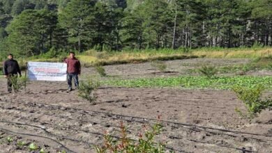 Arunachal: KVK Anjaw Introduces High-Value Fruit Crops Under TSP