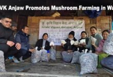 Arunachal: KVK Anjaw Promotes Mushroom Farming in Walla