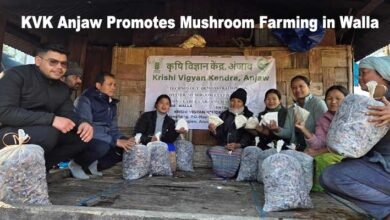 Arunachal: KVK Anjaw Promotes Mushroom Farming in Walla