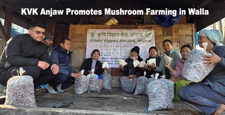 Arunachal: KVK Anjaw Promotes Mushroom Farming in Walla