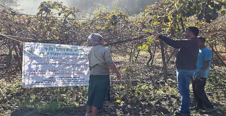 Arunachal: KVK Anjaw Trains Farmers on Kiwi Orchard Management