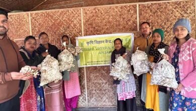 Arunachal: KVK Anjaw Trials Oyster Mushroom on Cardamom Waste