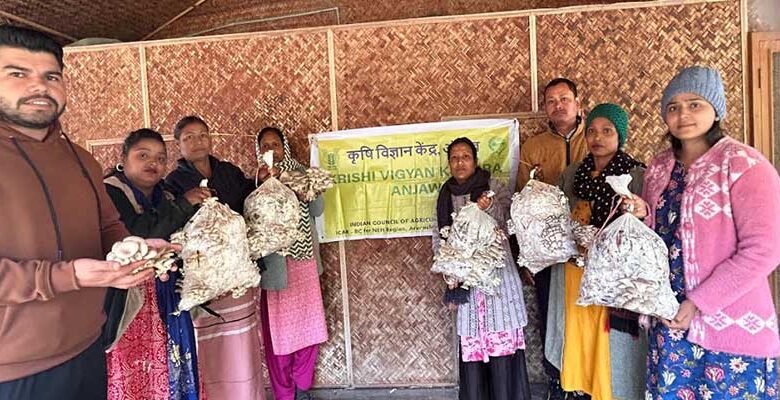 Arunachal: KVK Anjaw Trials Oyster Mushroom on Cardamom Waste