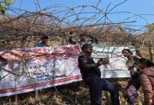 Arunachal: KVK Anjaw Trains Farmers on Kiwi Orchard Management