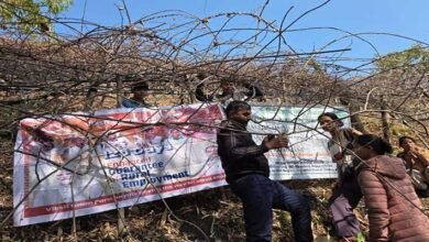 Arunachal: KVK Anjaw Trains Farmers on Kiwi Orchard Management