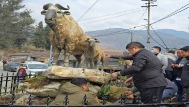 Arunachal: Mishmi Takin Statue Unveiled at Anini Town