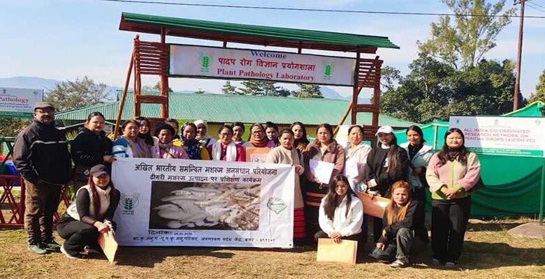 Arunachal: Women Trained in Oyster Mushroom Enterprises