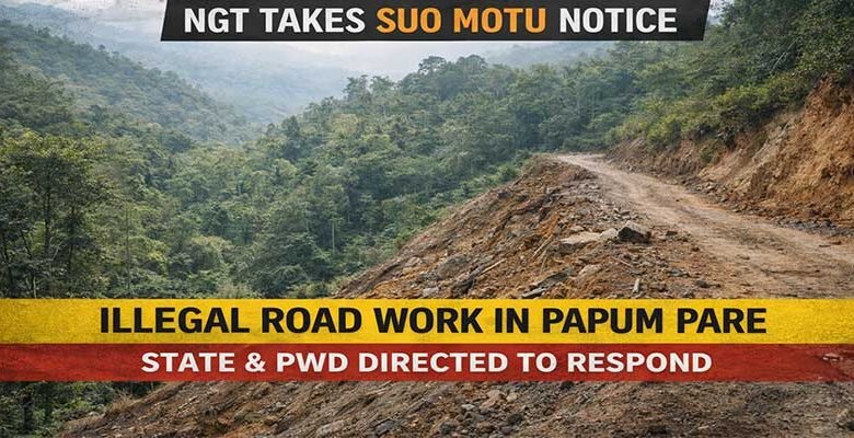Arunachal: NGT Seeks Response on Alleged Illegal Road Work in Papum Pare