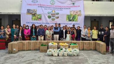 Arunachal: CAU Pasighat Hosts Maize Pest Management Programme