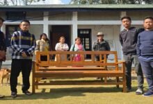 Chairs of Care: How a Youth Group in Riga Turned Small Acts into Big Change