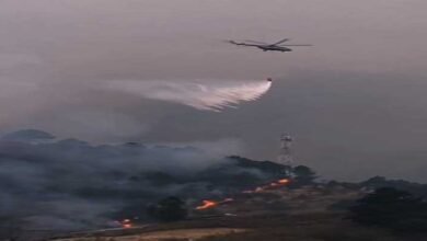 IAF Battles Wildfires in Arunachal and Nagaland