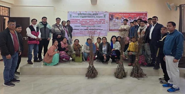 Arunachal: KVK Anjaw Distributes Kiwi, Plum Saplings Under TSP