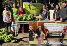 KVK Conducts Banana Chips Training at Nenuliang
