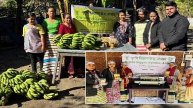 KVK Conducts Banana Chips Training at Nenuliang