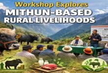 Arunachal: Scientific Mithun Rearing Workshop Held in Shi-Yomi