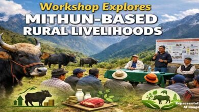 Arunachal: Scientific Mithun Rearing Workshop Held in Shi-Yomi