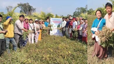 Arunachal: Scientists Promote Improved Groundnut Practices in Pasighat