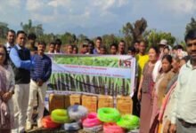 Arunachal: Ten-Day Sugarcane Training Held at Ngopok Village
