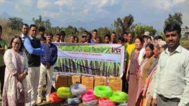 Arunachal: Ten-Day Sugarcane Training Held at Ngopok Village
