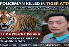 Arunachal: Policeman Killed in Tiger Attack in Lower Dibang Valley