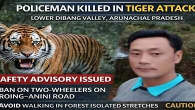 Arunachal: Policeman Killed in Tiger Attack in Lower Dibang Valley