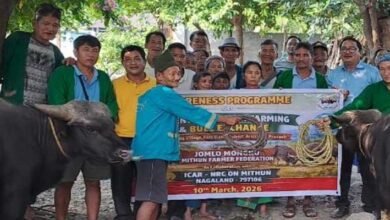 Arunachal: Bull Exchange Programme Held in East Siang