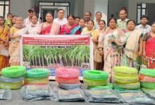 Arunachal: CAU Pasighat Holds Workshop on Scientific Sugarcane Farming