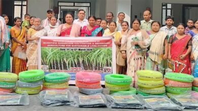 Arunachal: CAU Pasighat Holds Workshop on Scientific Sugarcane Farming