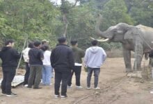 Arunachal: HU Botany Students Visit Pakke Wildlife Sanctuary