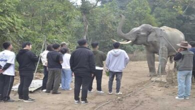 Arunachal: HU Botany Students Visit Pakke Wildlife Sanctuary