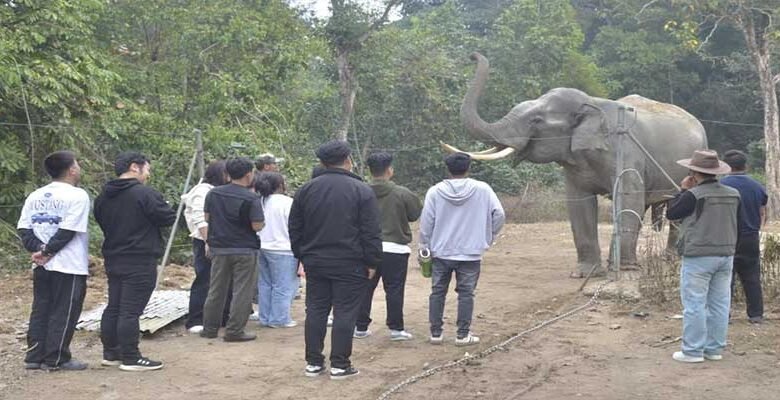 Arunachal: HU Botany Students Visit Pakke Wildlife Sanctuary