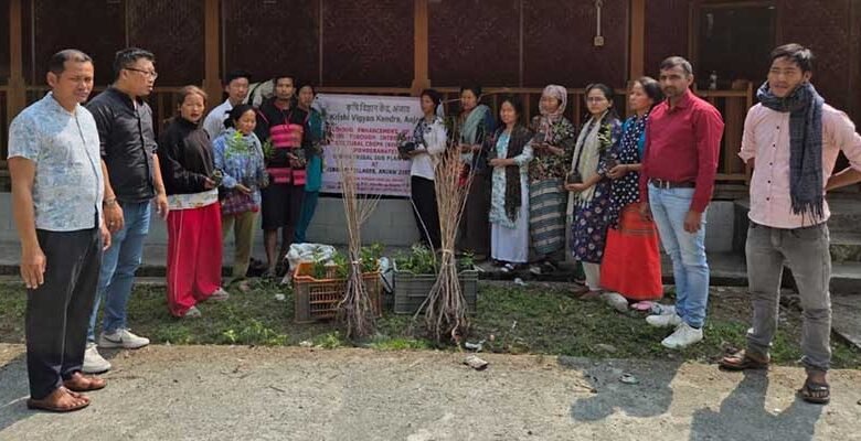 Arunachal: KVK Anjaw Distributes 1,000 Fruit Saplings to Farmers