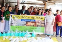 Arunachal: Mushroom Field Day Empowers Pasighat Farmers