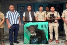 Arunachal: Stranded Himalayan Bear Cub rescued in Deomali