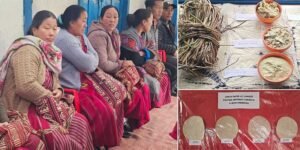 Arunachal: Tawang Hosts Workshop on Handmade Paper