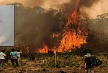 Arunachal: Mebo Forest Fire Largely Contained After 4-Day Effort