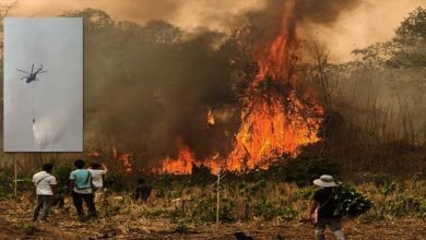 Arunachal: Mebo Forest Fire Largely Contained After 4-Day Effort
