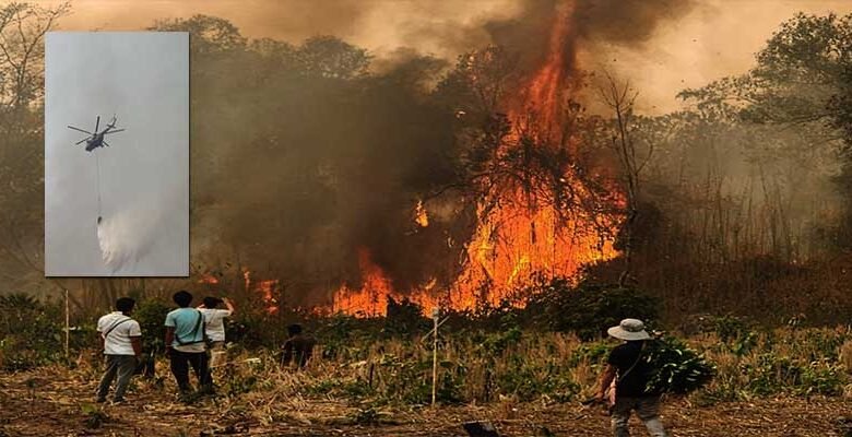 Arunachal: Mebo Forest Fire Largely Contained After 4-Day Effort