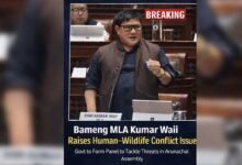 Arunachal: Kumar Waii Raises Human–Wildlife Conflict Issue in Assembly
