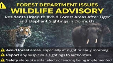 Arunachal: Wildlife Alert Issued After Tiger Sighting in Doimukh