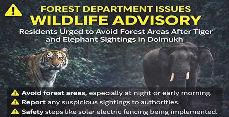 Arunachal: Wildlife Alert Issued After Tiger Sighting in Doimukh