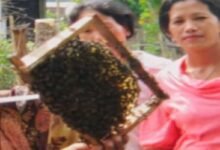 Arunachal: Beekeeping, Sericulture Training Held in Sille